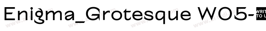 Enigma_Grotesque W05字体转换 Enigma_Grotesque W05字体转换